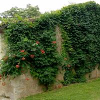 reconstruction-grange02