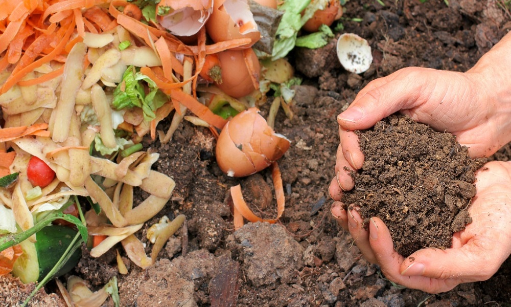 Composter ses déchets 